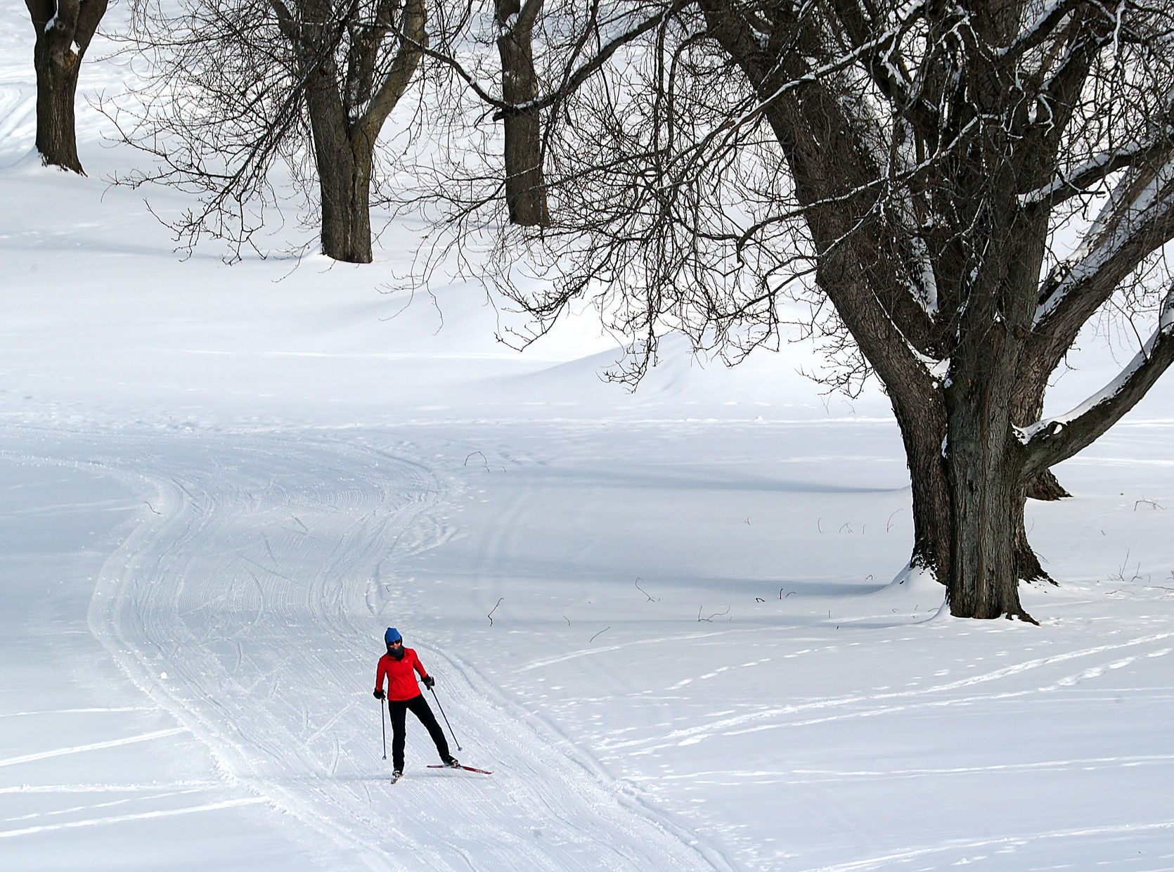 Jan. 23: Forest Hills Golf Course